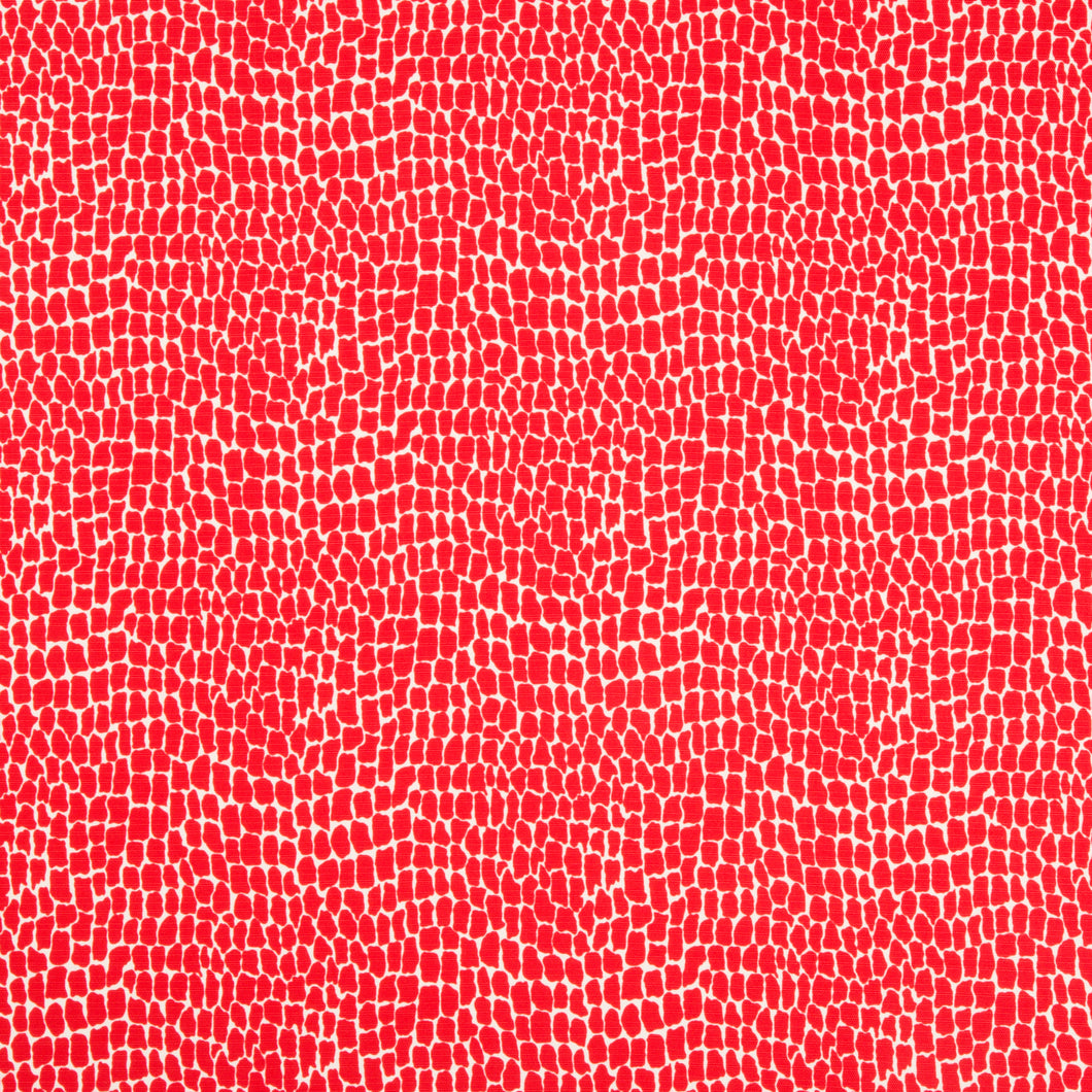 Brunschwig & Fils Nile Print Fabric / Red
