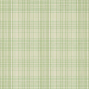 Brunschwig & Fils Guernsey Check Fabric / Celery