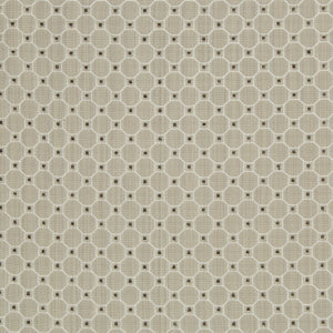 Brunschwig & Fils Tanneurs Woven Fabric / Grey