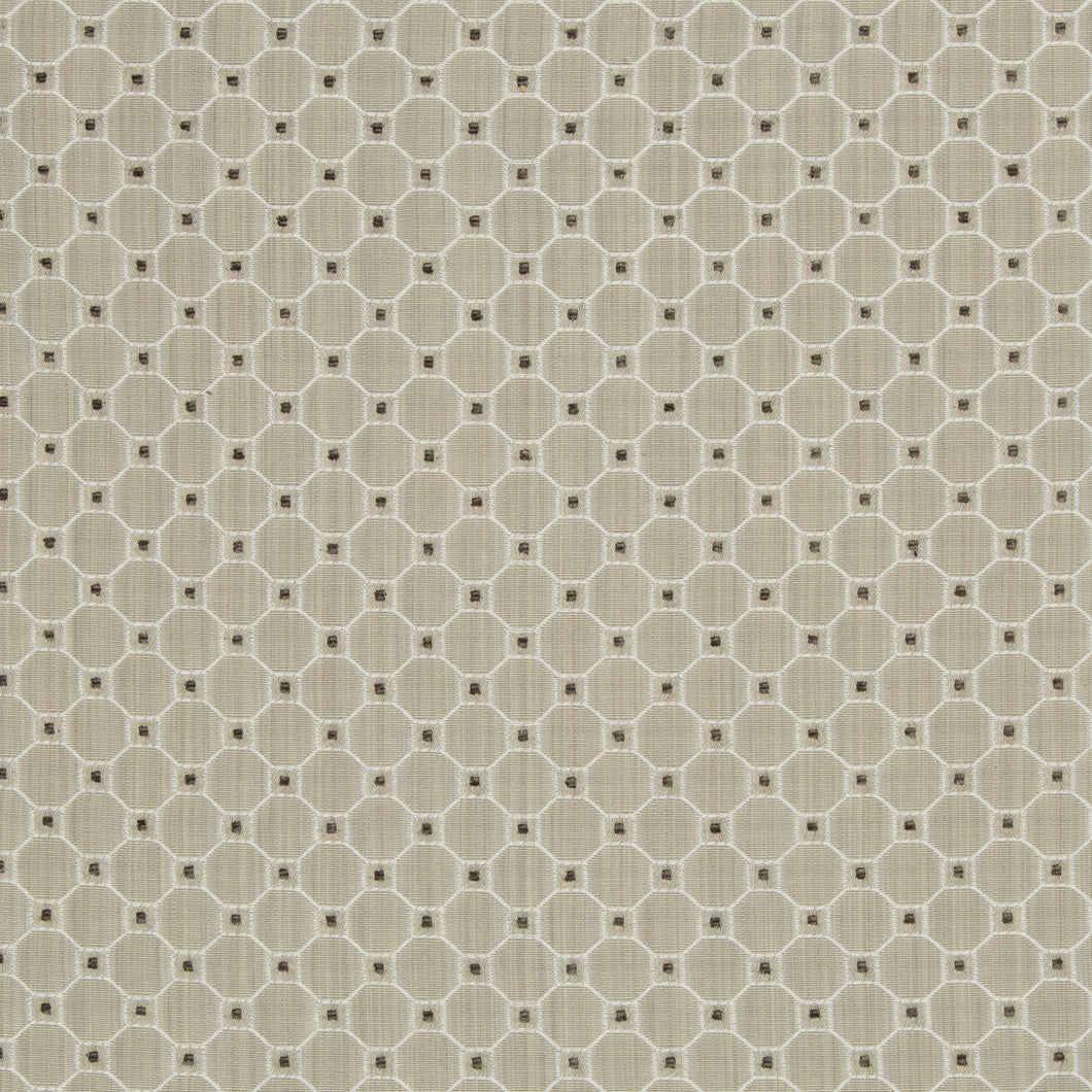 Brunschwig & Fils Tanneurs Woven Fabric / Grey