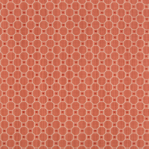 Brunschwig & Fils Tanneurs Woven Fabric / Coral