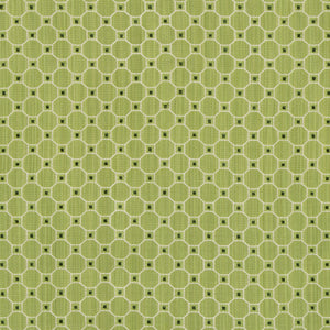 Brunschwig & Fils Tanneurs Woven Fabric / Leaf
