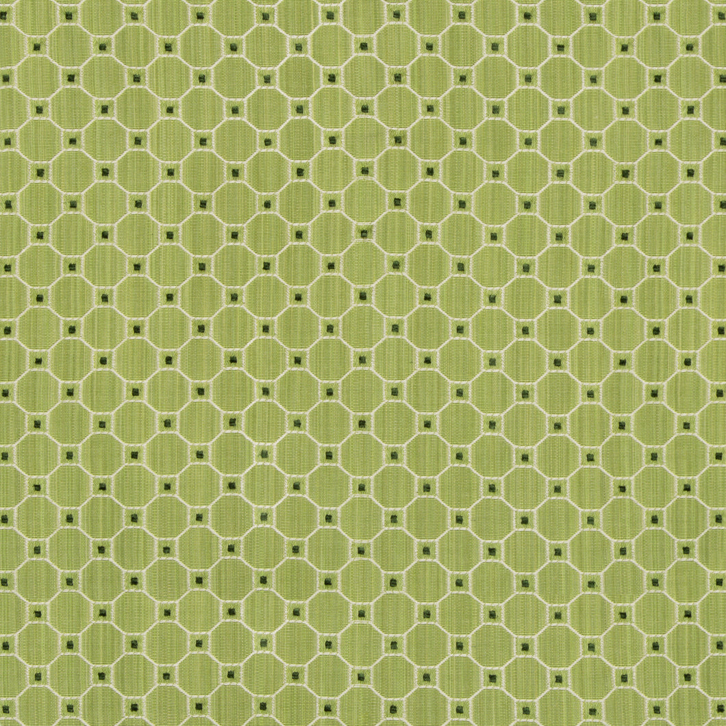 Brunschwig & Fils Tanneurs Woven Fabric / Leaf