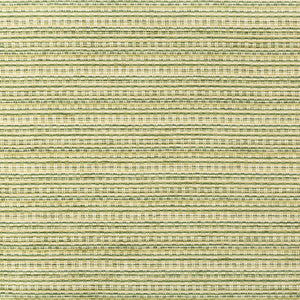 Brunschwig & Fils Orelle Texture Fabric / Green
