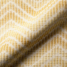 Load image into Gallery viewer, Brunschwig &amp; Fils Chausey Woven Fabric / Canary