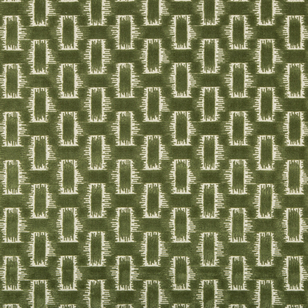 Brunschwig & Fils Chambord Velvet Fabric / Leaf