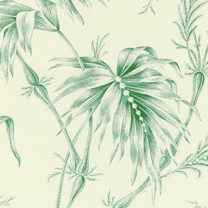 Brunschwig & Fils Lauziere Print Fabric / Green