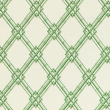 Load image into Gallery viewer, Brunschwig &amp; Fils Le Bambou Print Fabric / Green