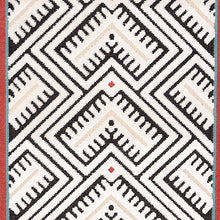 Load image into Gallery viewer, Schumacher Parvin Velvet Fabric 80650 / Black And Ivory
