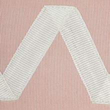 Load image into Gallery viewer, Schumacher Legere Applique Tape Trim 80874 / Ivory On Blush