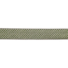 Load image into Gallery viewer, Schumacher Sunrise Embroidery Tape Trim 80892 / Emerald