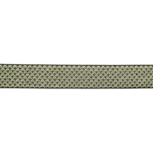 Schumacher Sunrise Embroidery Tape Trim 80892 / Emerald