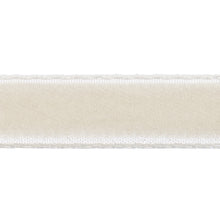 Load image into Gallery viewer, Schumacher Velvet Tape Narrow Trim 80921 / Dove