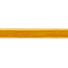 Load image into Gallery viewer, Schumacher Velvet Tape Narrow Trim 80926 / Gold