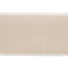 Load image into Gallery viewer, Schumacher Velvet Tape Trim Wide 80961 / Dove