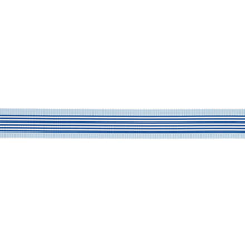 Load image into Gallery viewer, Schumacher Keket Stripe Tape Trim 81690 / Blues