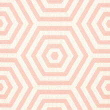 Load image into Gallery viewer, Schumacher Bees Knees Indoor/Outdoor Fabric 82312 / Petal