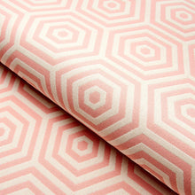 Load image into Gallery viewer, Schumacher Bees Knees Indoor/Outdoor Fabric 82312 / Petal