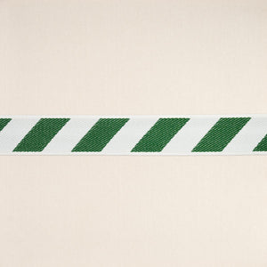 Schumacher Airmail I Indoor/Outdoor Tape Trim 82422 / Green And Ivory
