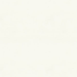 Brunschwig & Fils Laudine Fabric / White