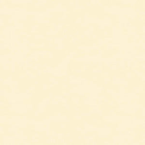 Brunschwig & Fils Ninon Taffetas Fabric / Blanc