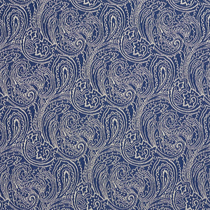 Essentials Heavy Duty Upholstery Fabric Blue / Wedgewood Paisley