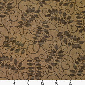 Essentials Indoor Outdoor Upholstery Drapery Botanical Fabric Black / Cafe Vine