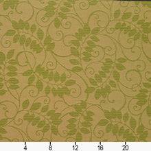 Load image into Gallery viewer, Essentials Indoor Outdoor Upholstery Drapery Botanical Fabric Green / Fern Vine