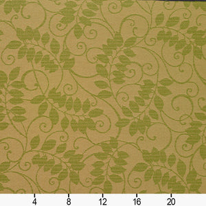 Essentials Indoor Outdoor Upholstery Drapery Botanical Fabric Green / Fern Vine