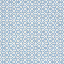 Load image into Gallery viewer, SCHUMACHER QUEEN B FABRIC / CHAMBRAY