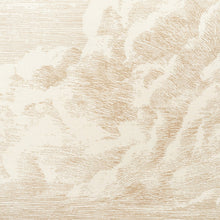 Load image into Gallery viewer, SCHUMACHER CLOUD TOILE FABRIC / CHAMPAGNE