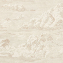 Load image into Gallery viewer, SCHUMACHER CLOUD TOILE FABRIC / CHAMPAGNE