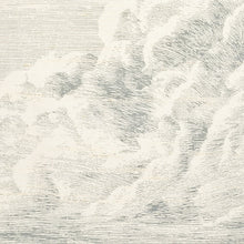 Load image into Gallery viewer, SCHUMACHER CLOUD TOILE FABRIC / DELFT