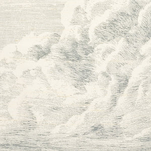 SCHUMACHER CLOUD TOILE FABRIC / DELFT