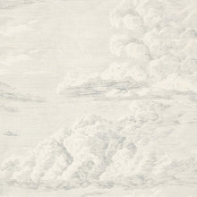 Load image into Gallery viewer, SCHUMACHER CLOUD TOILE FABRIC / DELFT