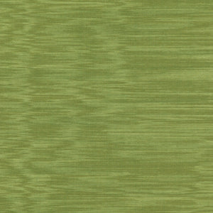 Brunschwig & Fils Cernay Moire Fabric / Leaf