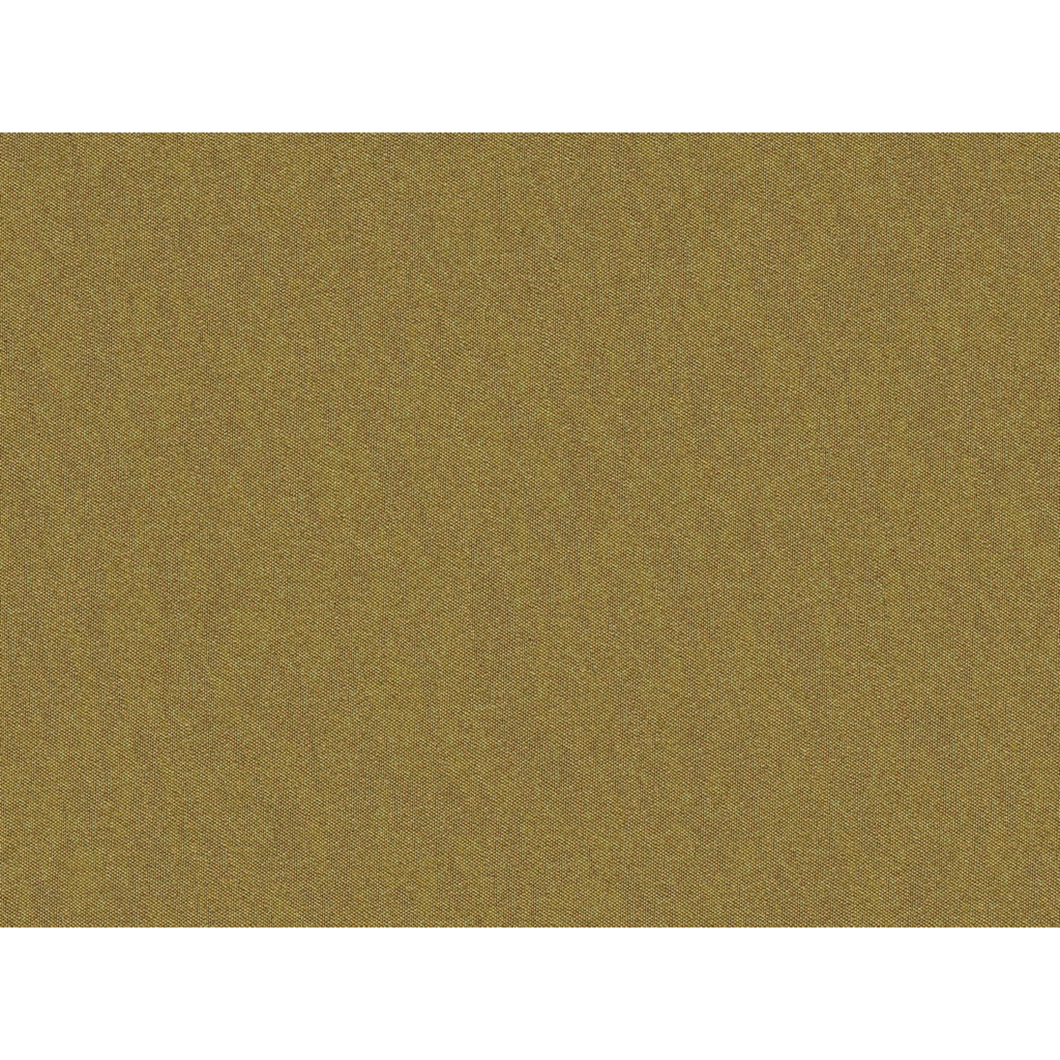 Brunschwig & Fils Shots Fabric / Cuir