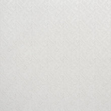 Load image into Gallery viewer, SCHUMACHER EBERLY FABRIC / PLATINUM