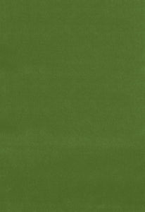 SCHUMACHER GAINSBOROUGH VELVET FABRIC / ENGLISH GREEN