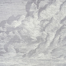 Load image into Gallery viewer, SCHUMACHER CLOUD TOILE FABRIC / FOG
