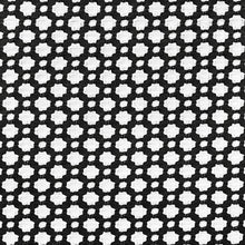 Load image into Gallery viewer, Schumacher Betwixt fabric /  Black / White
