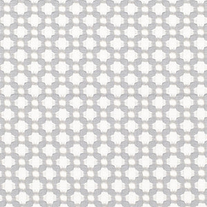 Schumacher Betwixt fabric / Zinc/Blanc