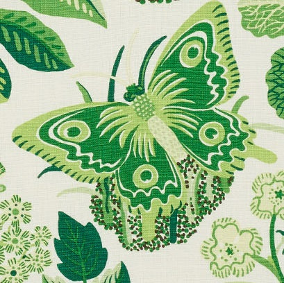 Schumacher exotic butterfly fabric /Leaf