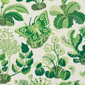 Schumacher exotic butterfly fabric /Leaf