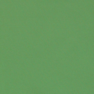 SCHUMACHER BLAKE FABRIC / GRASS