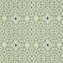 Load image into Gallery viewer, SCHUMACHER CRUSOE IKAT FABRIC / GREEN