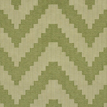 Load image into Gallery viewer, SCHUMACHER VERNE FABRIC / GREEN