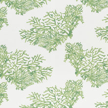 Load image into Gallery viewer, SCHUMACHER INDOOR OUTDOOR GREAT BARRIER REEF II FABRIC / GREEN