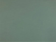 Load image into Gallery viewer, Spradling Softside Teal Green Pearlescent Faux Leather Upholstery Vinyl