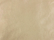 Load image into Gallery viewer, Kravet Smart Ossy 16 Greige Beige Ostrich Neutral Animal Skin Pattern Faux Leather Vinyl